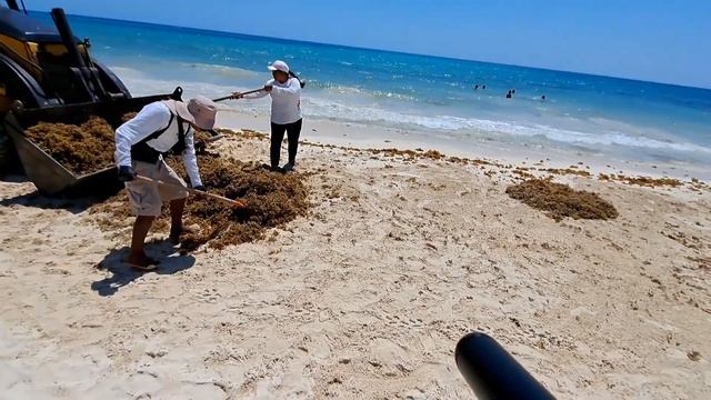 Плайя дель Кармен ! Playa Del Carmen. Мексика ч.1. Собаки, пляжи 