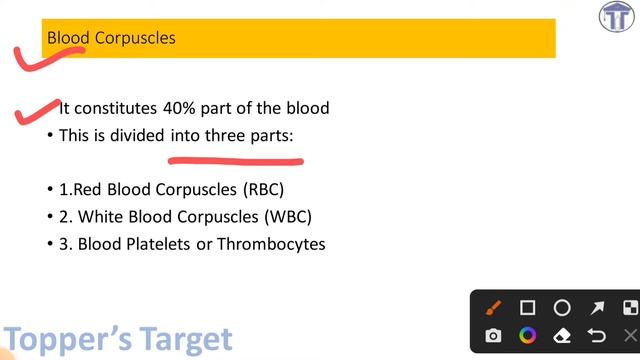 Biology | Blood रक्त | Human Blood | pH value | WBC | RBC | Plasma | Blood corpuscles смотреть онлайн