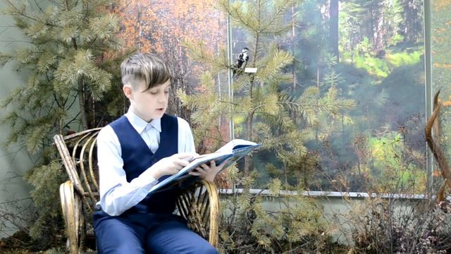 Медведь и лиса_ читает Никита Пляскин смотреть онлайн