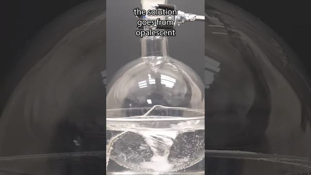 Growing a Real OPAL 🧪✨ смотреть онлайн