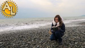 Ассорти | Кусочки видео в свободное от экскурсий время