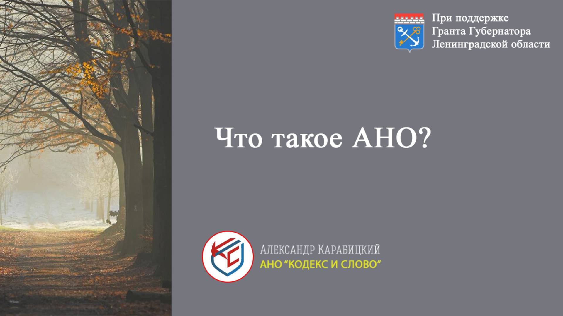 Выпуск 2. Что такое АНО.