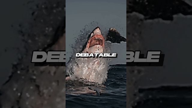 Salt water crocodile vs Great white Shark ( REMAKE ) #animals #debate смотреть онлайн
