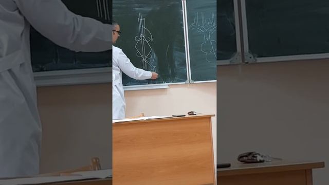 Popliteal artery смотреть онлайн