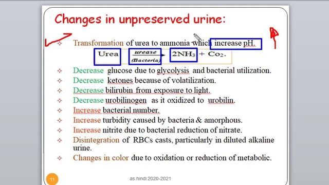 lecture 3. video 1. Urinalysis sample collection & physical examination смотреть онлайн