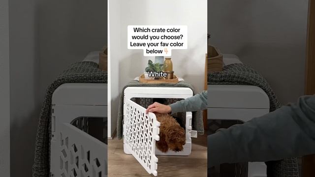 Which color would you choose? KindTail.com #aesthetic #doglife #puppylife #puppylifestyle #dogcrate смотреть онлайн