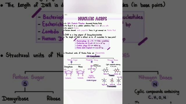 Nucleic acid смотреть онлайн