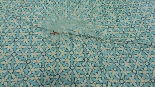 Мотылек в воде смотреть онлайн