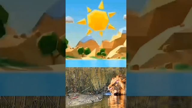 Battle for Life Lion vs.Crocodile/Relaxing Music for Healing and Happiness смотреть онлайн