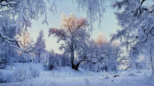 #Alisher#Fayz#yangi#yilAlisher Fayz-- Yangi Yil