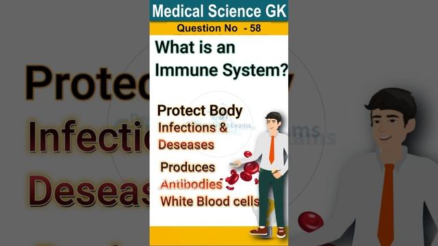 What is immune system definition & Functions How immune system #viralshorsts #shortsfeeds2023 смотреть онлайн