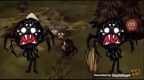 ВЕБЕР БОСС ВСЕХ ПАУКОВ