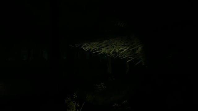 Dr.Pepper and MK играют в Survivors Viy #1 смотреть онлайн