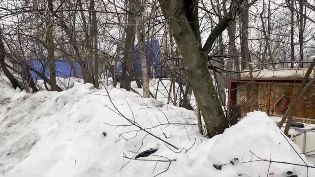 VOLVO VNL  вибрация при езде. Причины…