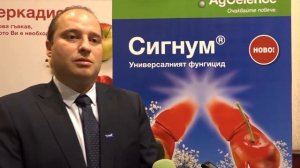 Сигнум - новият универсален  фунгицид от БАСФ