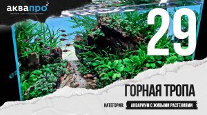 29. Горная тропа. Аквариум с живыми растениями