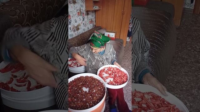 вялю помидоры на заказ. смотреть онлайн