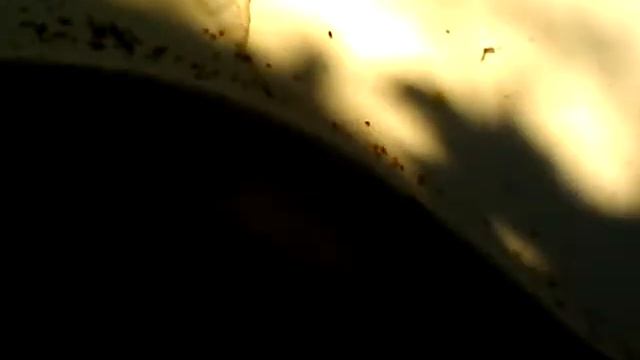 VID 2016.08.19 18:27:16 смотреть онлайн