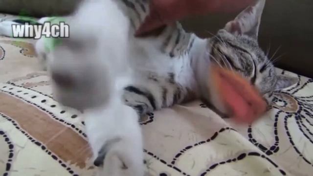 4ch смотреть онлайн