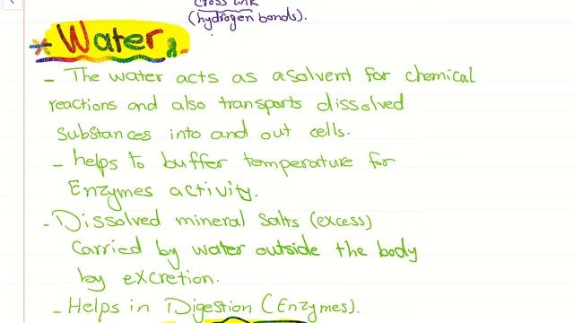 Biological Molecules | O.L Lesson 8 смотреть онлайн
