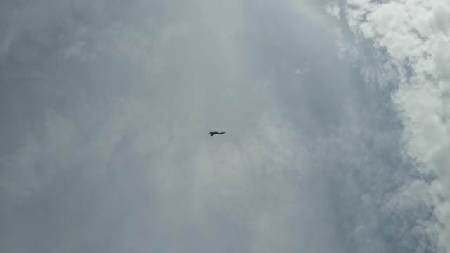 Су-30 в небе смотреть онлайн