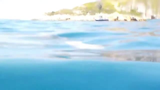 Χελώνα Καρέττα - Καρέττα / Caretta - Caretta Turtle смотреть онлайн