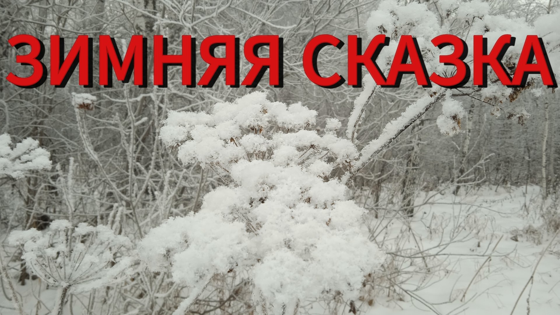Природа Сибири. Зимняя сказка смотреть онлайн