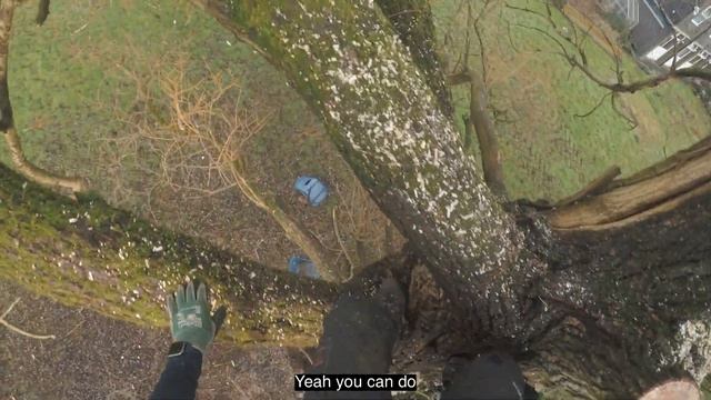 Walk Through Talk Through: Section Felling A Tree Using SRT смотреть онлайн