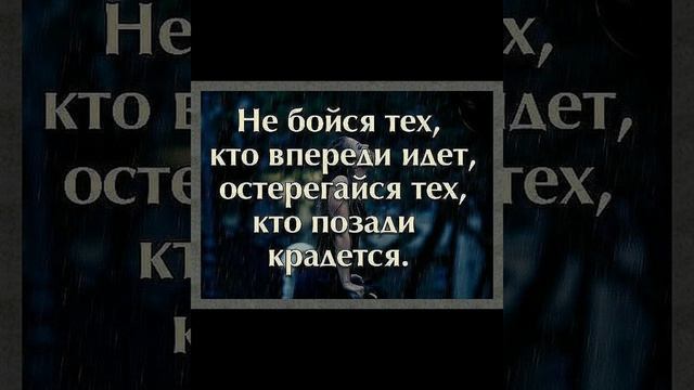 МУДРЫЕ МЫСЛИ, ЦИТАТЫ И АФОРИЗМЫ| МЫСЛИ В СЛУХ| ПРОСТО МЫСЛИ| СБОРНИК ЛУЧШЕГО смотреть онлайн