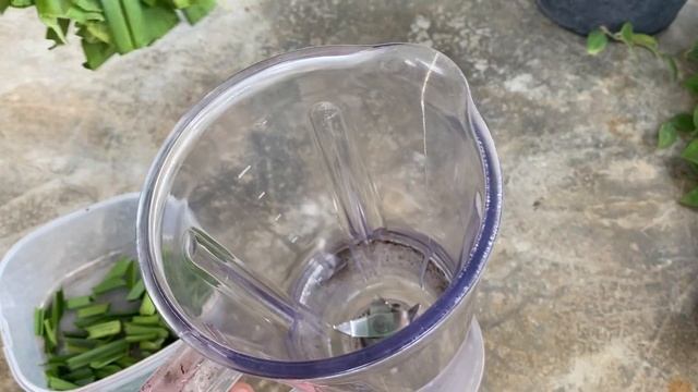 This Miracle Water Will Keep The Plants Green All Year Round│all Kinds Of Trees