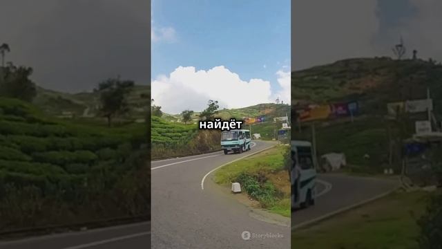 🌅 Шри Ланка: Тропический рай ближе, чем вы думали! 🌅