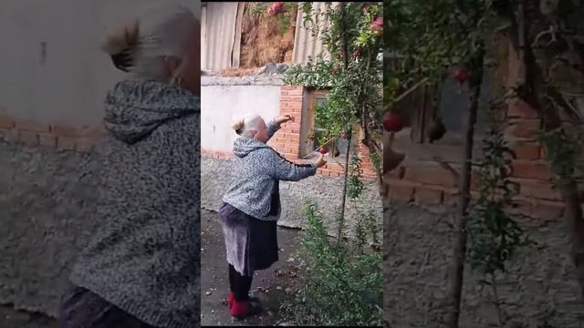 Литературные приемы: путь к удаче