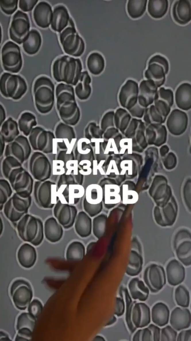 Лейкоцит в густой вязкой крови смотреть онлайн