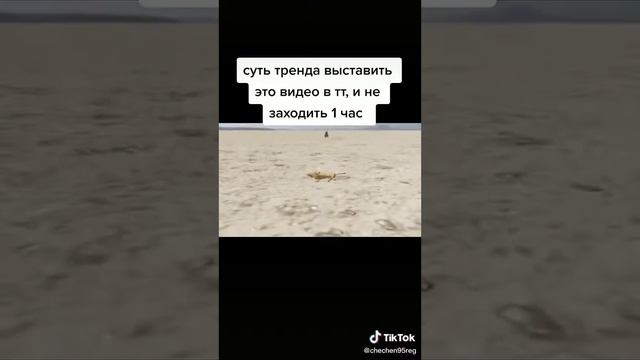 6 листопада 2020 р. смотреть онлайн