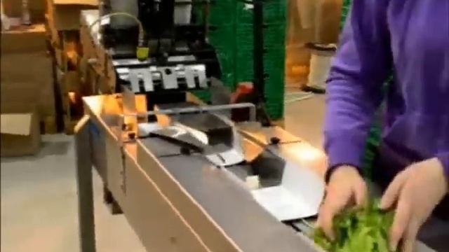 Record Scorpion 1000. Packing salad смотреть онлайн