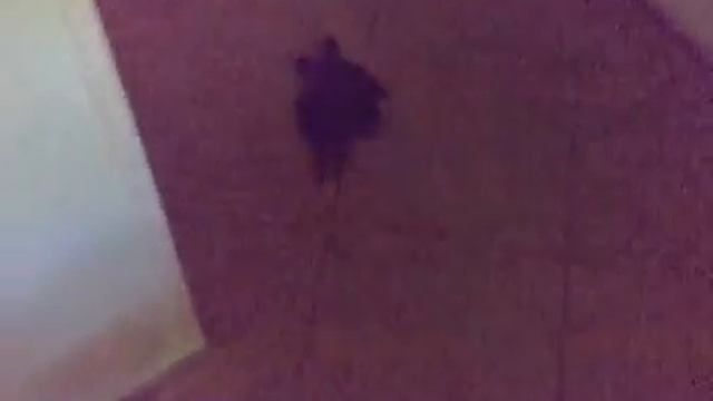 Черепаха спринтер смотреть онлайн