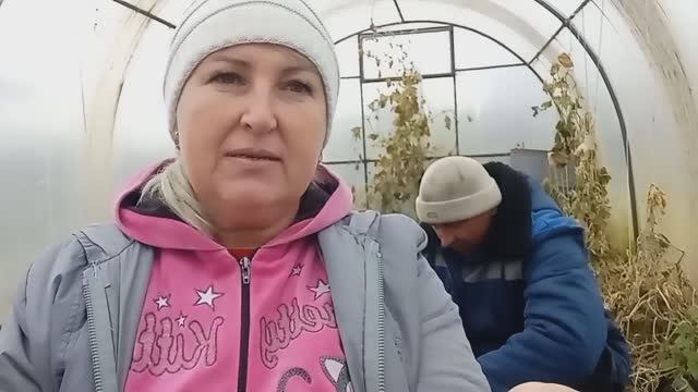 Сажаем ЧЕСНОК 🧄. Муж работает, а я ЛЕНЮСЬ 😅 смотреть онлайн