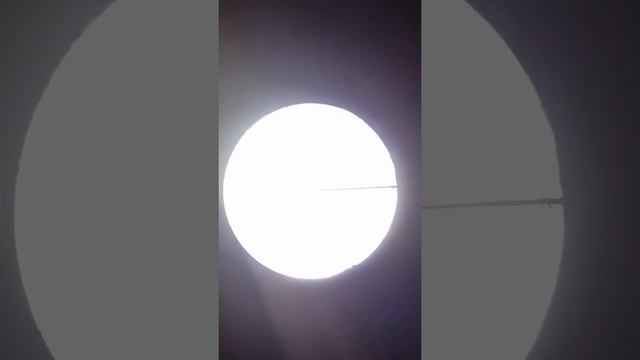 Гистология Ретикулярная ткань лимфатического узла кошки смотреть онлайн