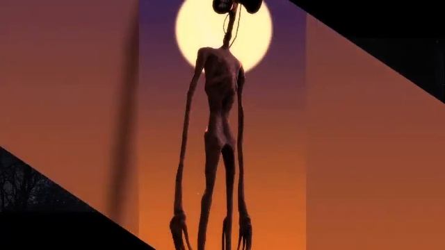 СЕРЕНА ГОЛОВЫЙ