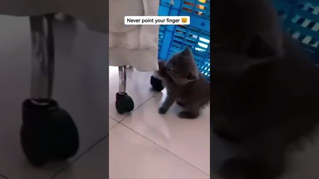 Ты на каво быканул смотреть онлайн