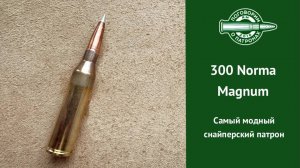 Патрон 300 Norma Magnum, самый модный снайперский патрон
