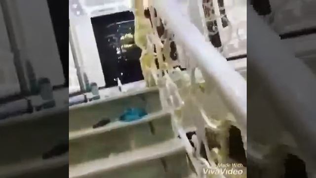 Перила смотреть онлайн