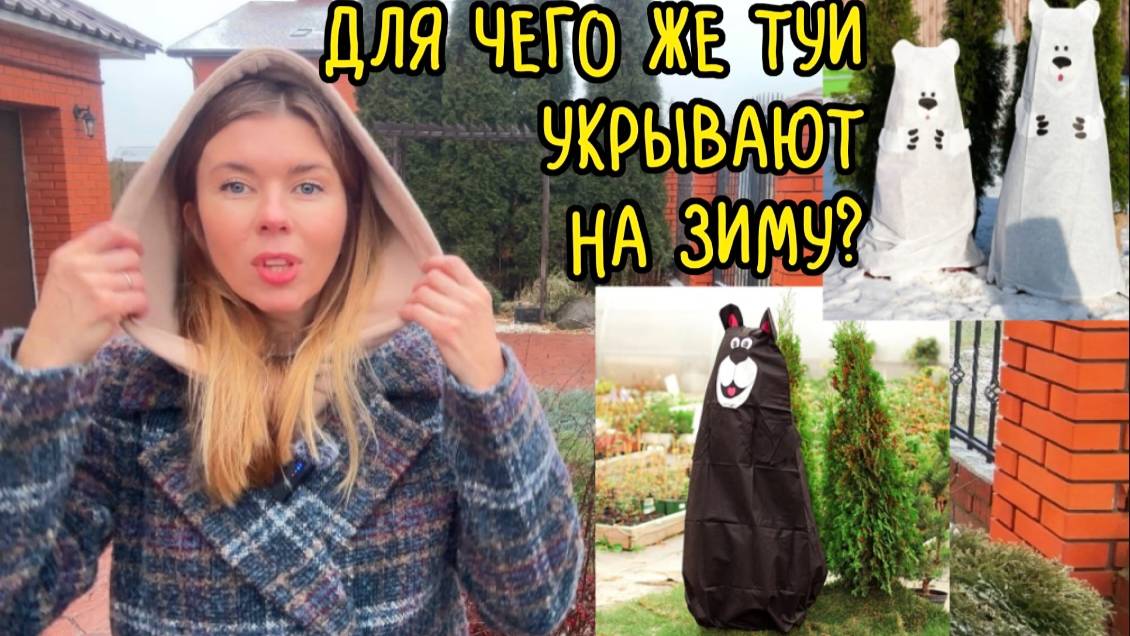 Соседи укрывают туи на зиму. А точно это необходимая работа?! смотреть онлайн