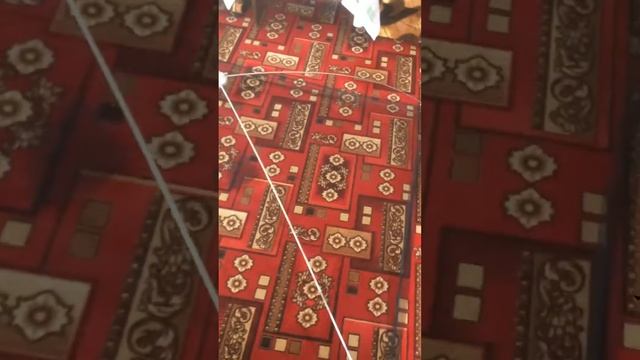 Сеть паук смотреть онлайн