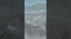 Обзор отеля в Абу-Даби Radisson Blu Hotel & Resort Abu Dhabi Corniche 5*