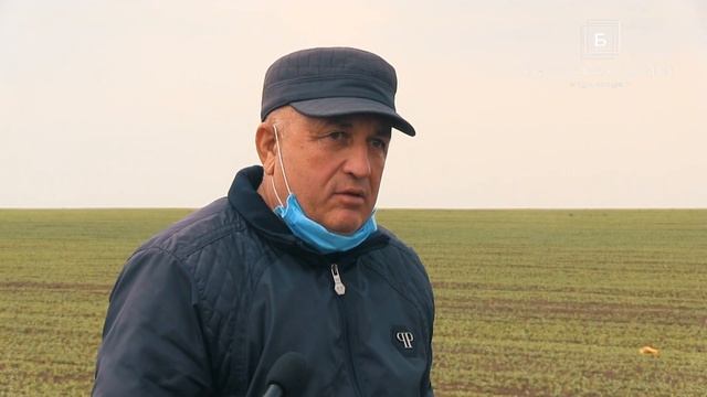 В Бессарабии аграрии просят дождя смотреть онлайн