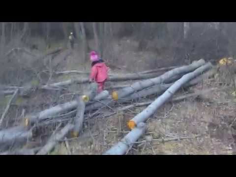 RUTRAIL пеший маршрут на гору Медведь камень