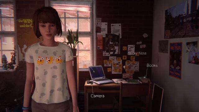 Relaxing Life Is Strange Music - Max's Room (1hour)