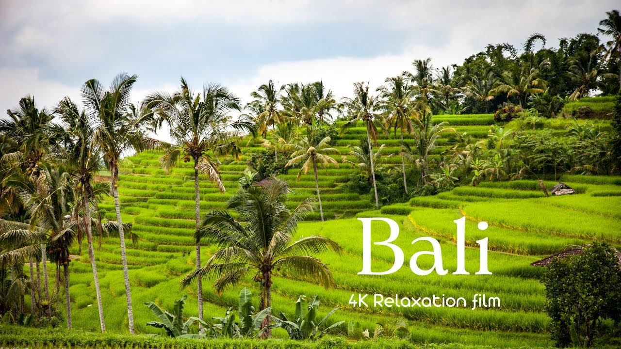 Bali (Бали) - 4K - Relaxation Film With Calming Music | INDONESIA смотреть онлайн