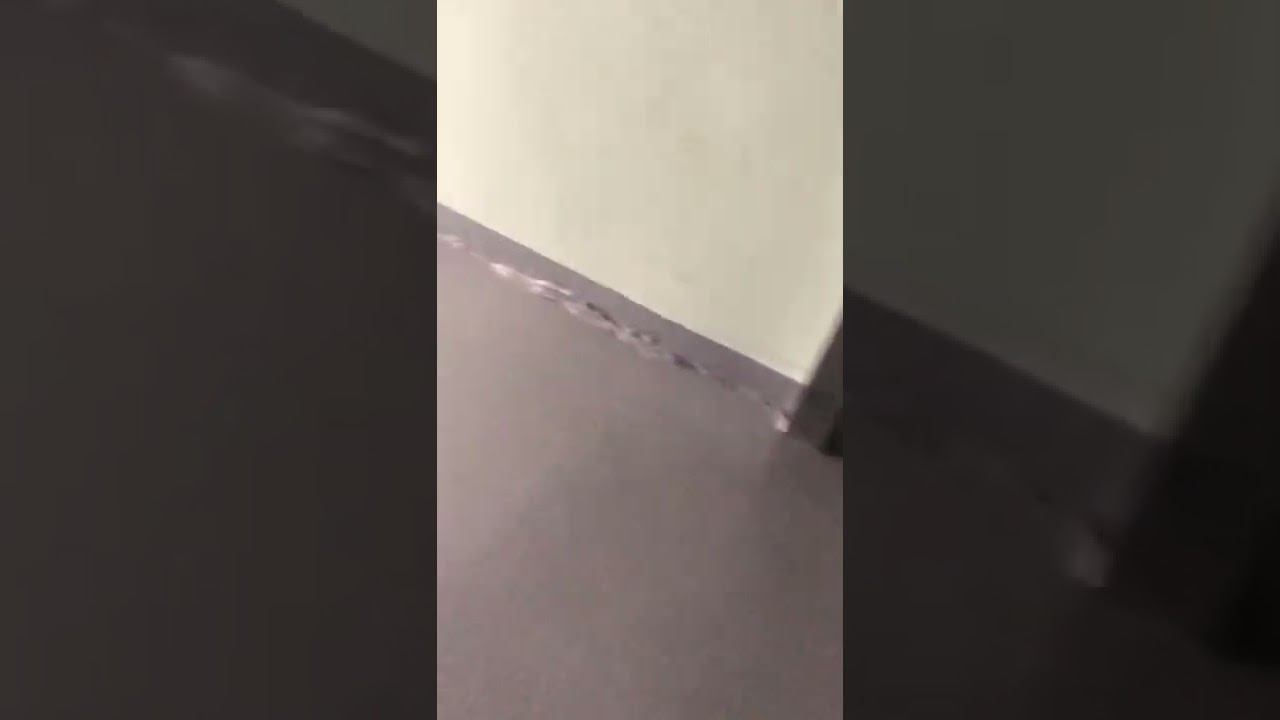 Эпоксидные полы для производственного помещения смотреть онлайн